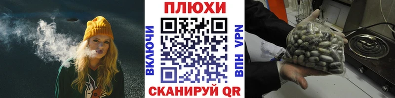 ГАШ Premium Чернушка