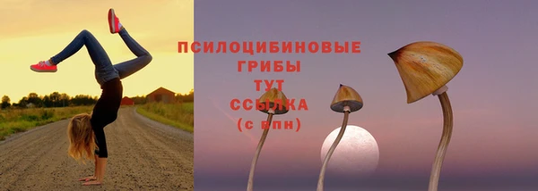 гашик Армянск