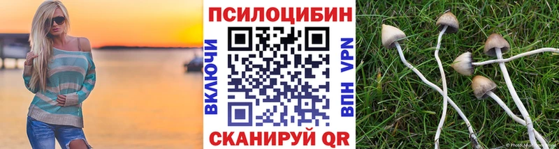 маркетплейс телеграм  где купить наркоту  Чернушка  Галлюциногенные грибы Psilocybe 